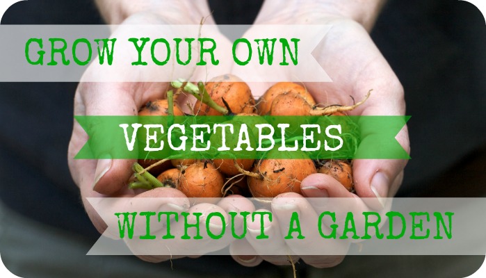 Grow Your Own Vegetables Without A Garden