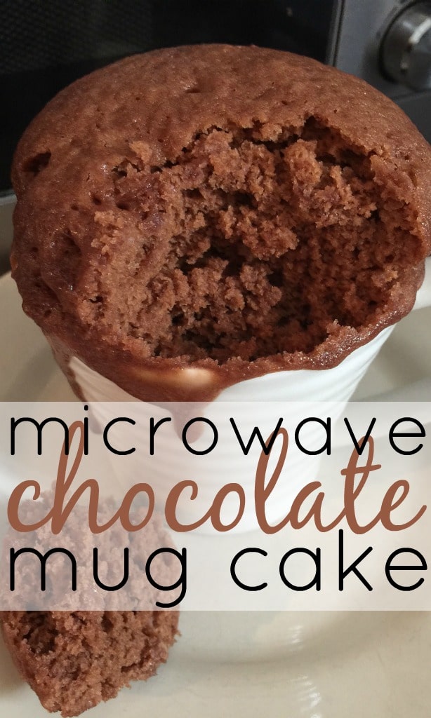 Homemade Microwave Chocolate Mug Cake - Skint Dad