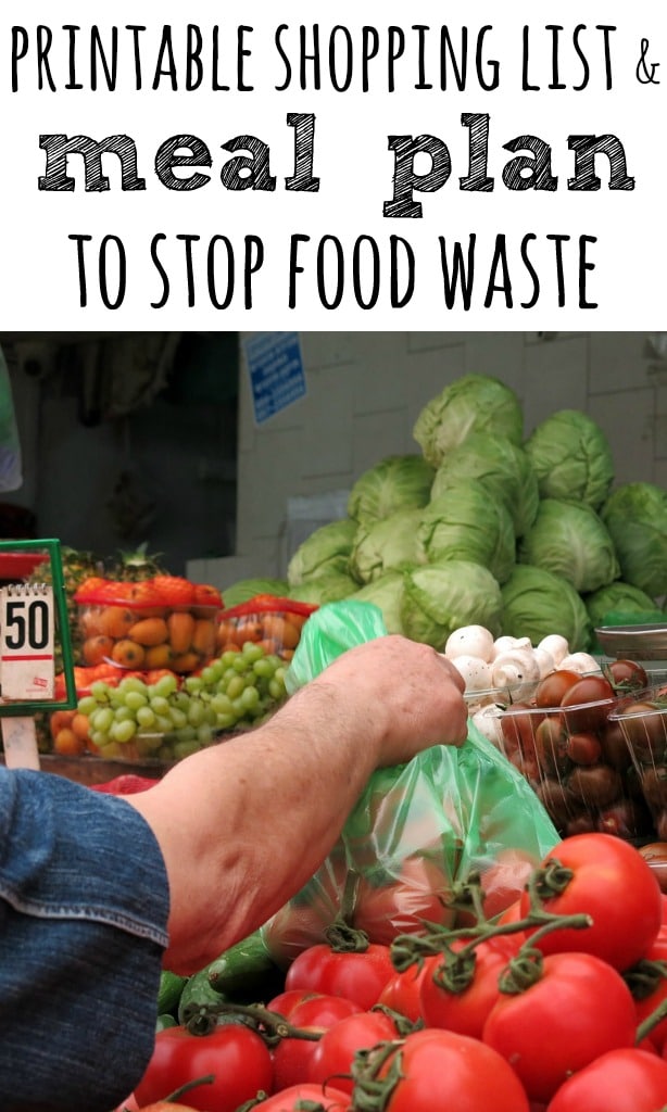 With this meal plan and shopping list you can feed a family for just £40 per week, plus if you follow these tips you will have less food waste too.