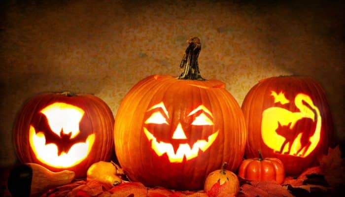 Carved pumpkins on a table