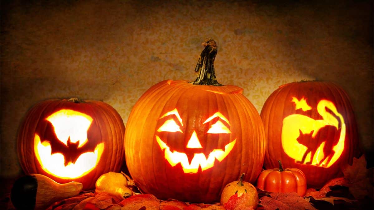 Carved pumpkins on a table