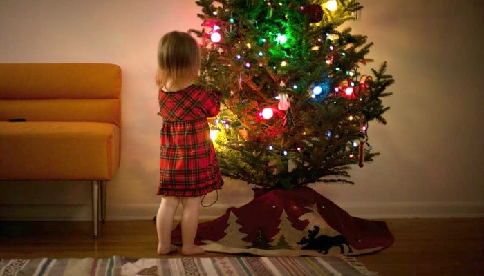 als je geld uitgeeft aan een echte Boom deze kerst, wil je je geld niet weggooien als de naalden te snel vallen. Deze tips houden uw kerstboom langer in leven.