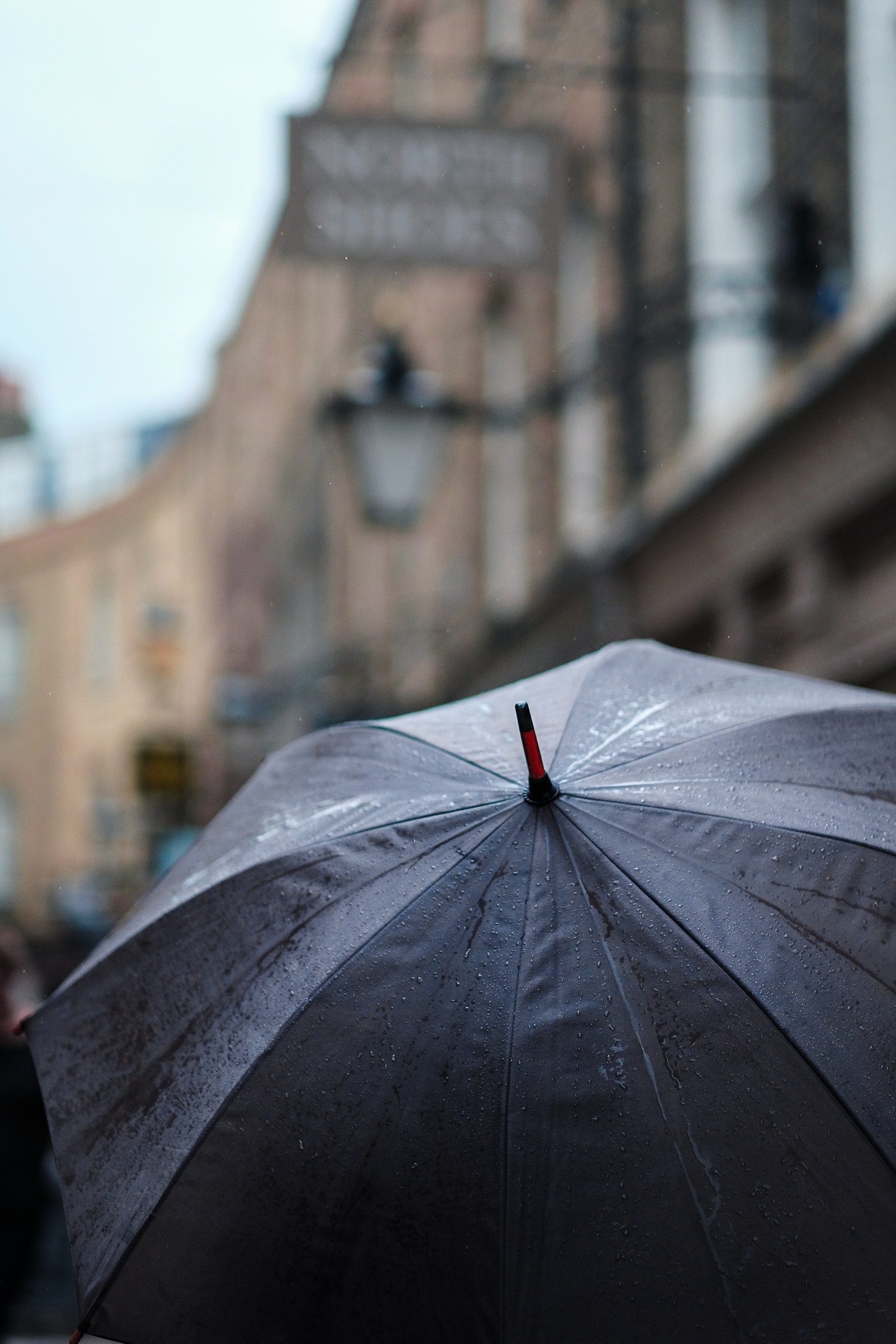 umbrella