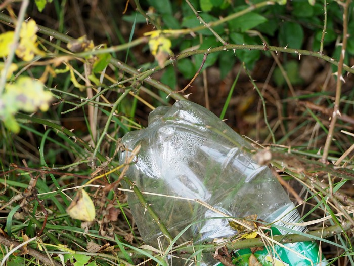 plastic bottle in a bush