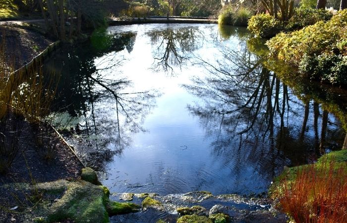 Lake at Wakefield Place National Trust