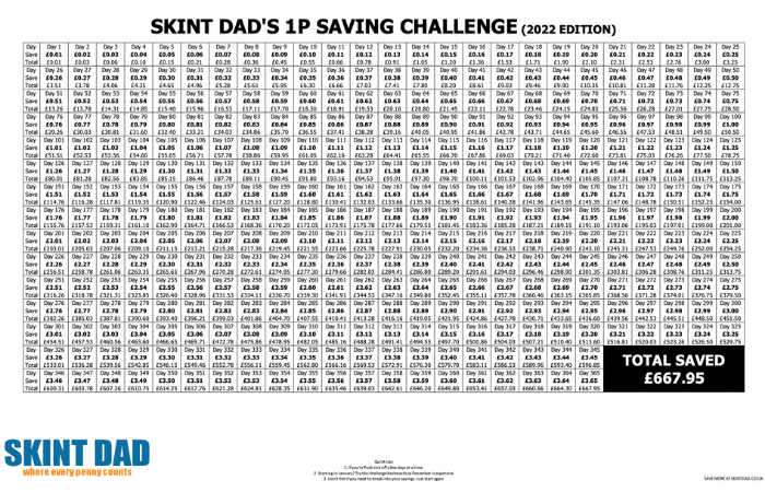 Skint Dad 1p saving challenge 2022