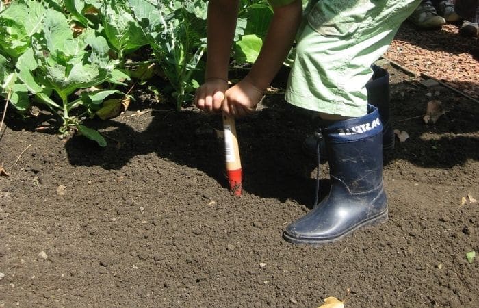 child gardening