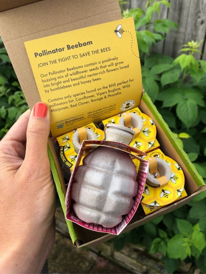 Pollinator Power Seedbom Gift Set