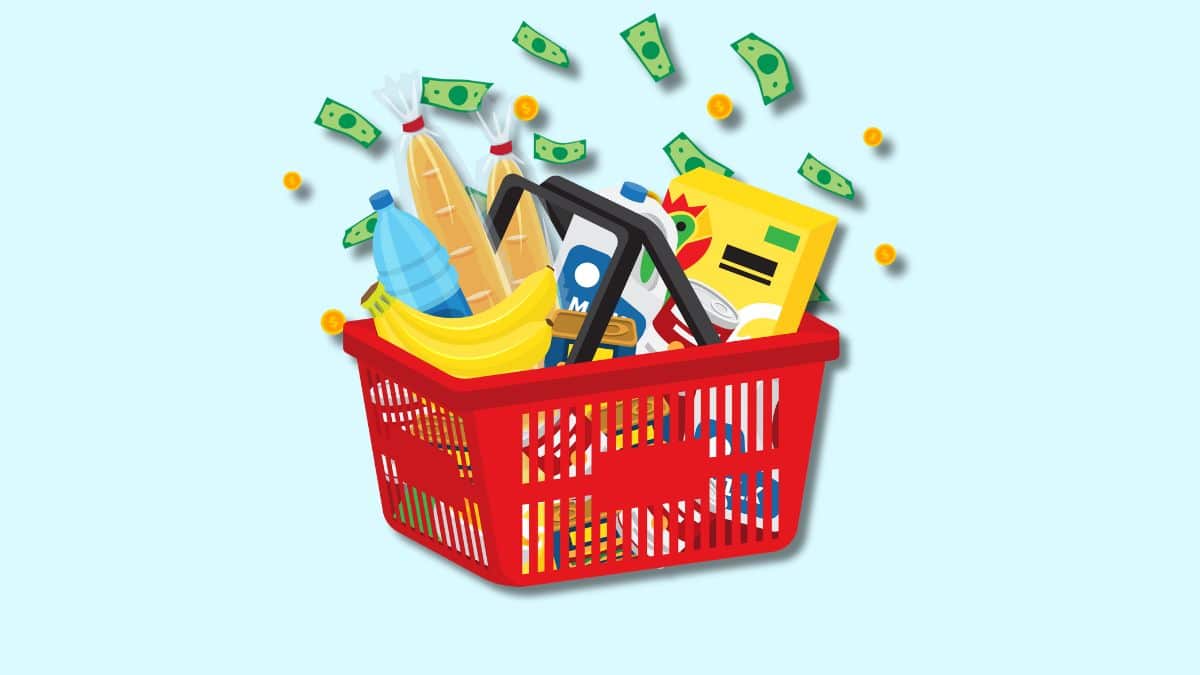 cartoon of a grocery basket with money falling behind it