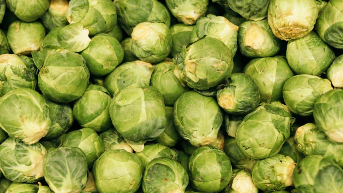 Brussels sprouts