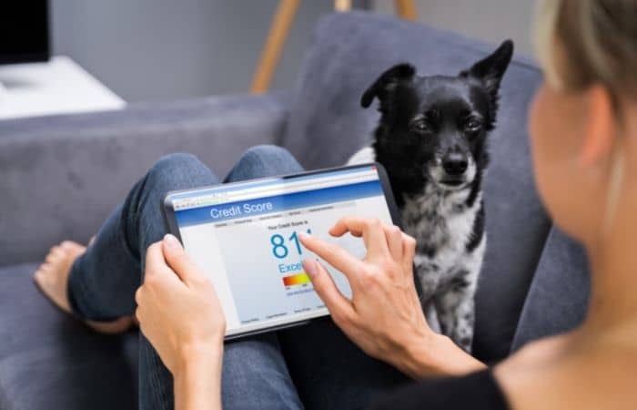 woman looking at credit score on tablet