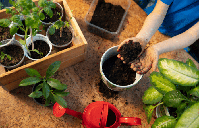 hands handling soil and placing into a pot