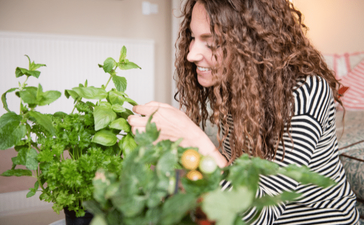 woman tending to tomato plant indoors