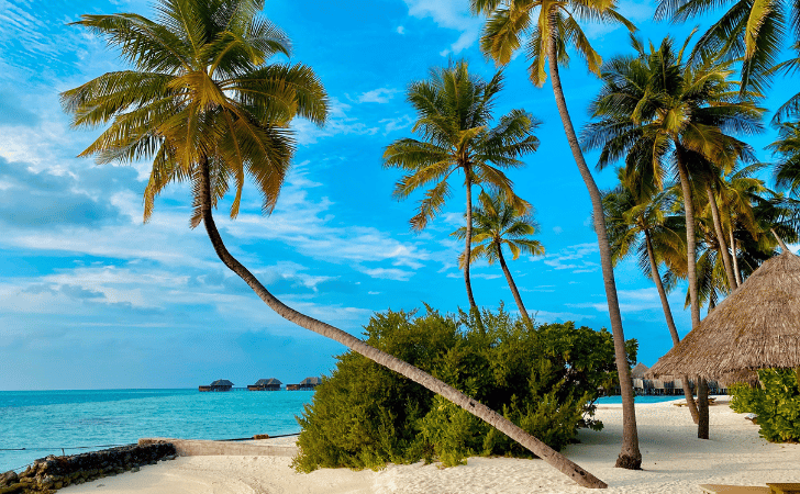 The Maldives - Conrad Rangali Islands