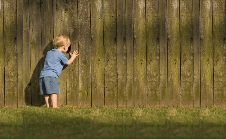 Child looking through fence
