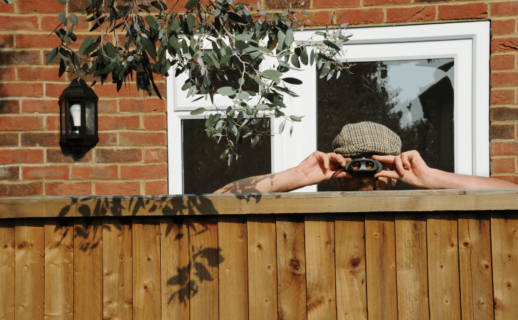 neighbour using binoculars over wooden fence