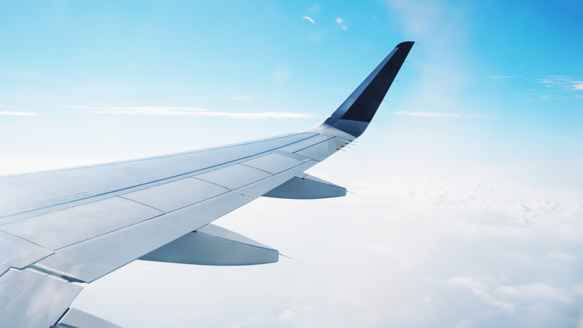plane wing