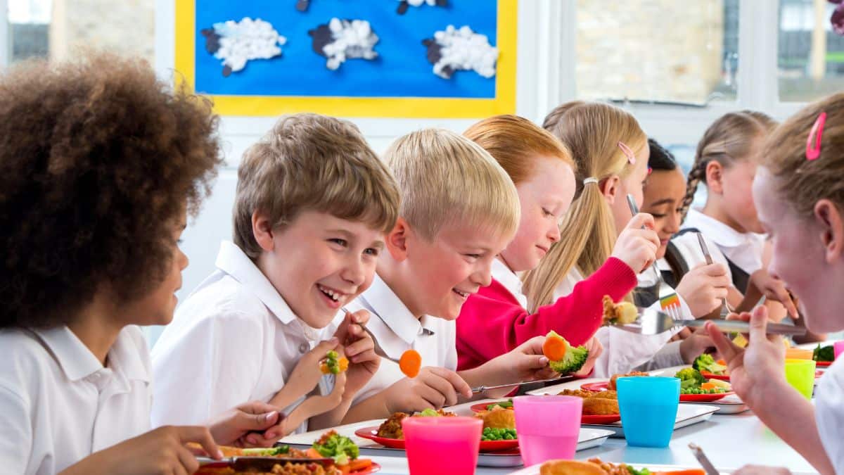 School children having lunch