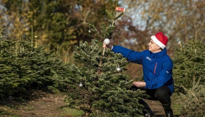 Tesco is giving away free wonky Christmas trees for one day only
