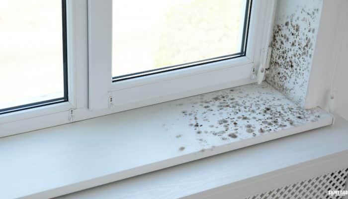Damp and mould growing on an interior wall beside a window.